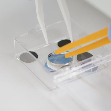A close-up of lithium-ion electrodes and cells. A cell is being picked up with tweezers.