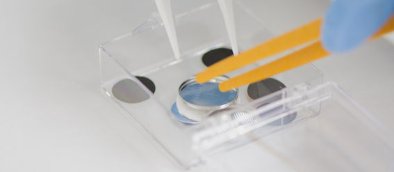 A close-up of lithium-ion electrodes and cells. A cell is being picked up with tweezers.